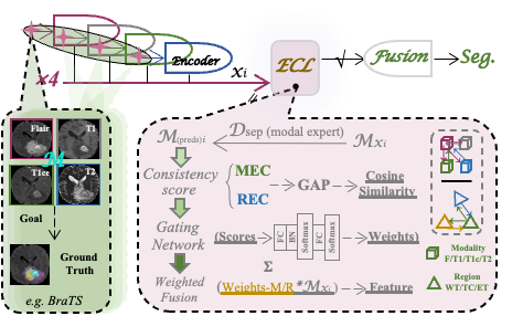 CLoE model overview