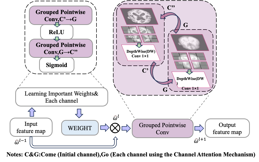 DCL-SE model overview